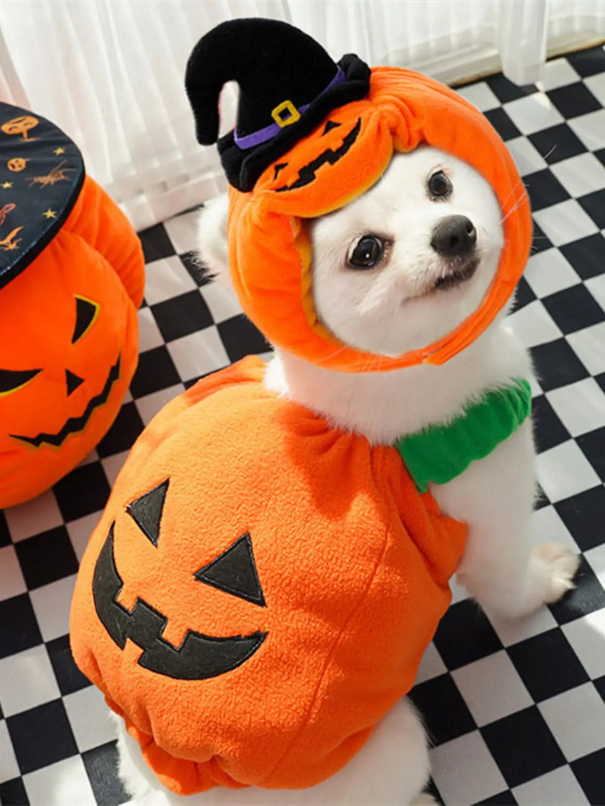 Funny Two‑Legged Pet Costume｜Halloween & Christmas Dog Cat Outfit