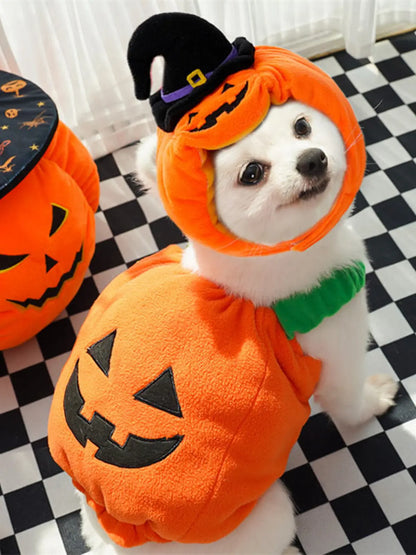Funny Two‑Legged Pet Costume｜Halloween & Christmas Dog Cat Outfit