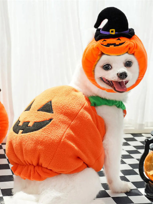 Funny Two‑Legged Pet Costume｜Halloween & Christmas Dog Cat Outfit