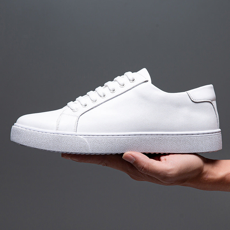 Torrisi Leather Sneakers